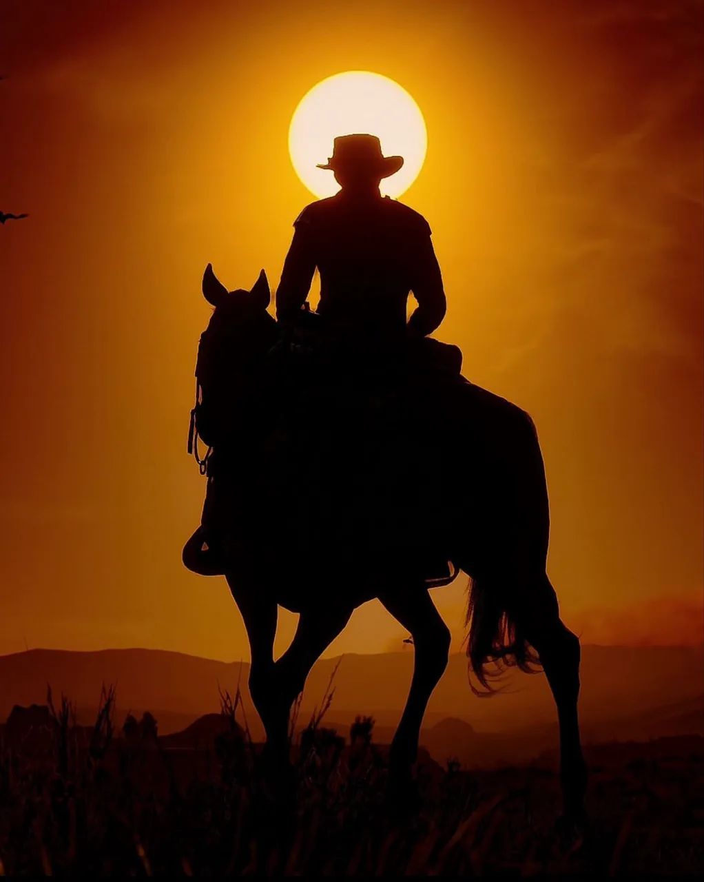 Venda de cavalos e éguas 