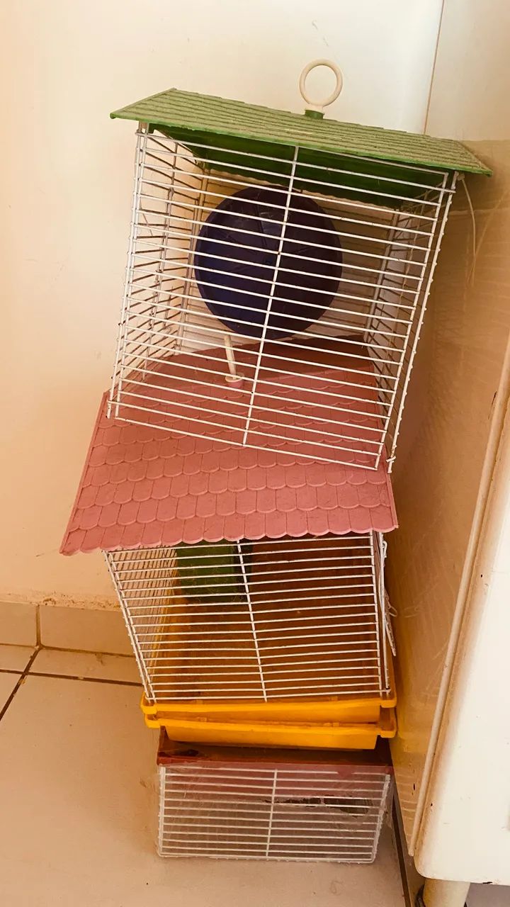 Gaiola