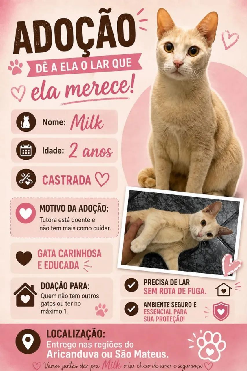 Doação Gatinha 