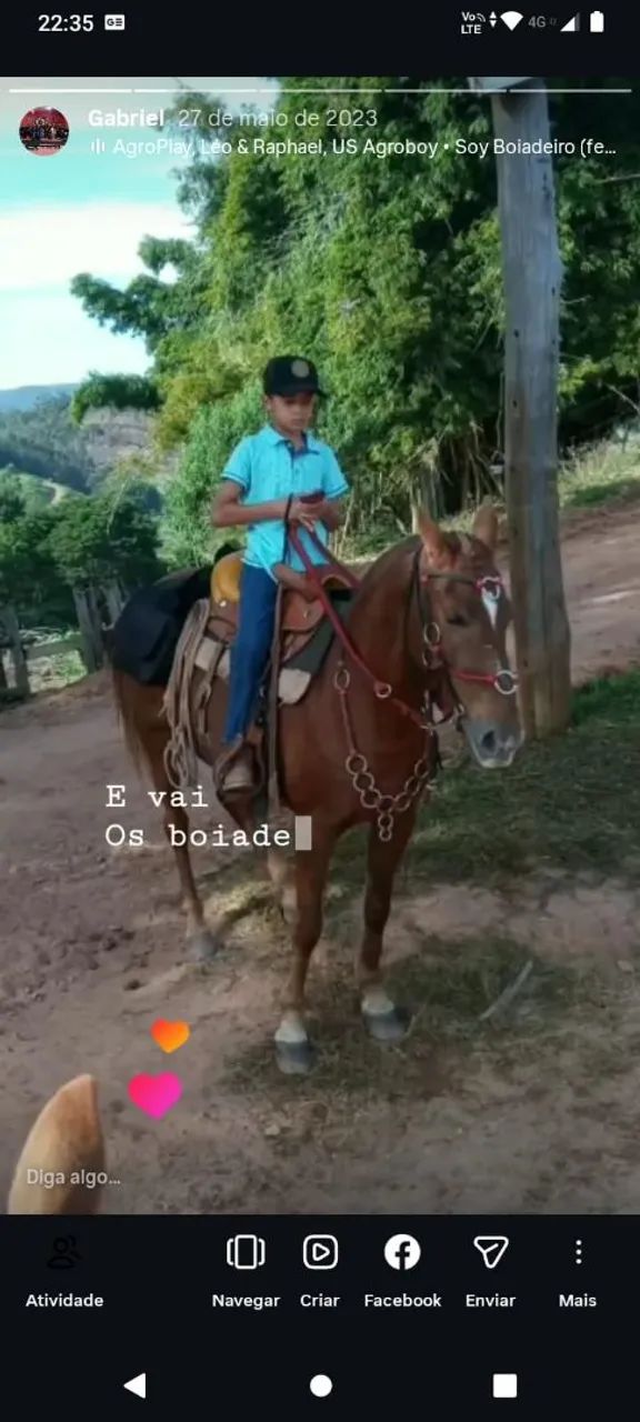 Vendo égua marcha picada 