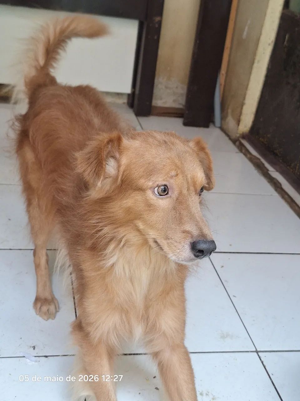 Doação  - Foto 3