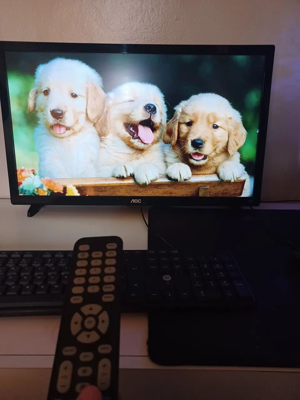 Monitor Tv Aoc - Foto 2