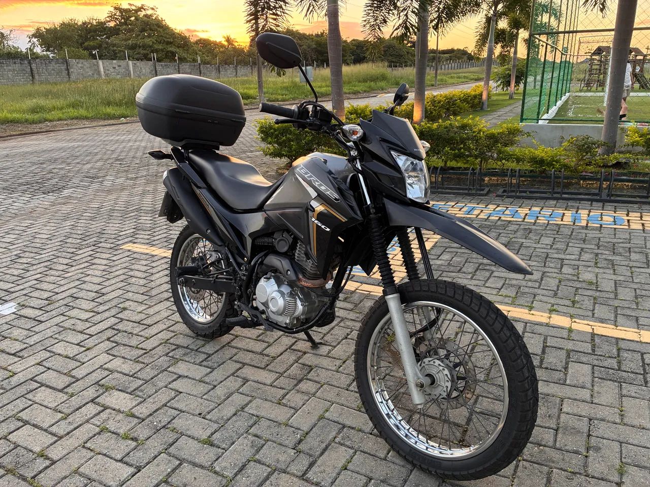 Honda bros 