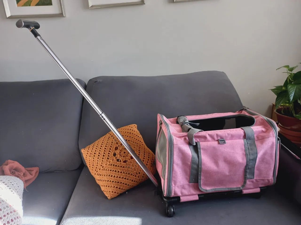 Bolsa de transporte pets cães gatos respirável com rodinhas e alça