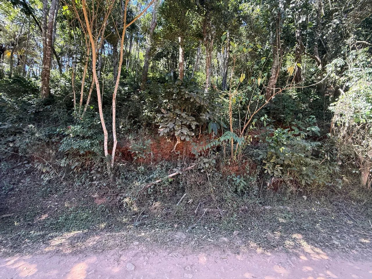 Terreno Vale Das Videiras - Foto 4