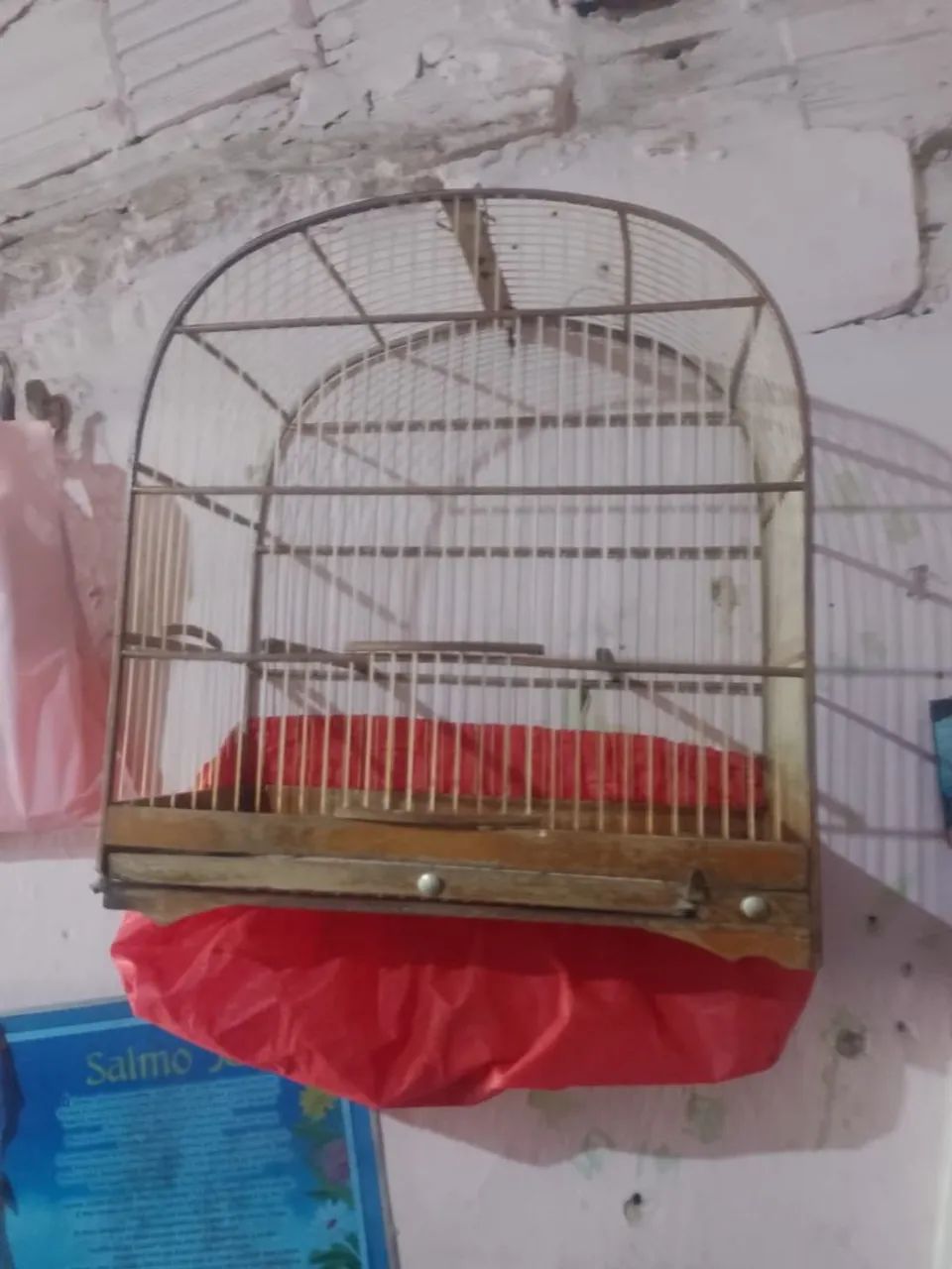 Acessórios pet