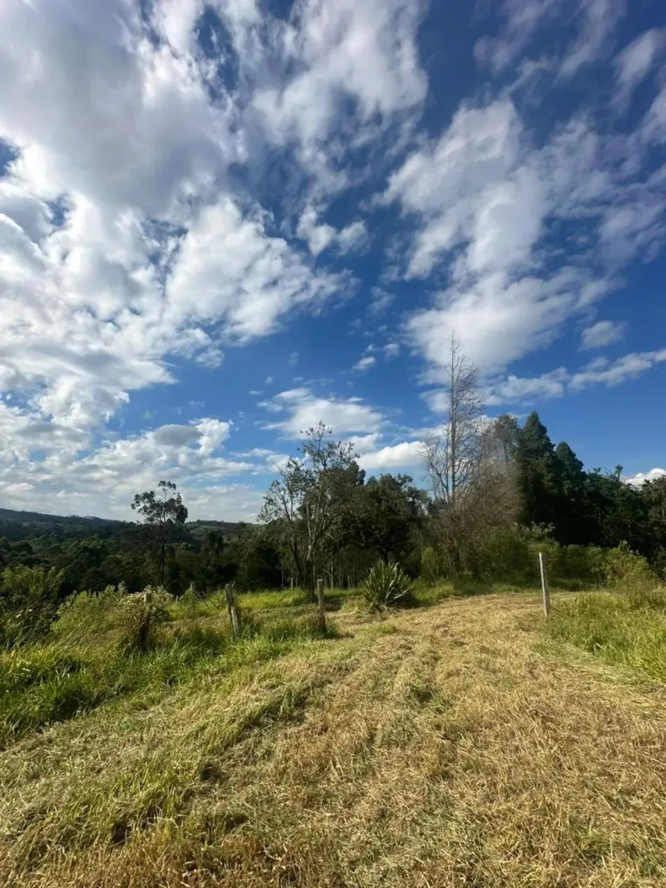 Vista, Natureza e Privacidade em Mairinque