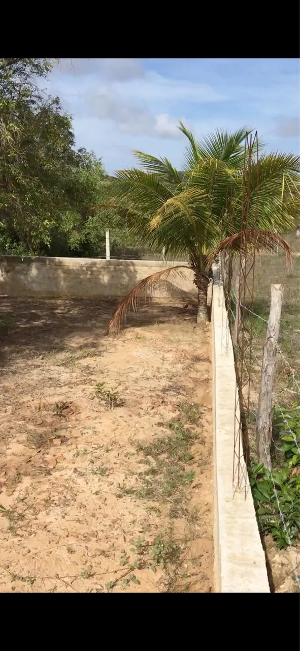 Lote no complexo elo com a natureza  - Foto 3