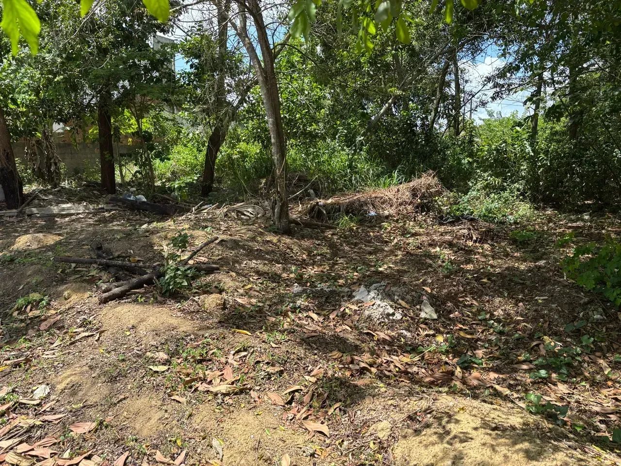 4 LOTES DE TERRENO COM 200M2 CADA - Foto 3