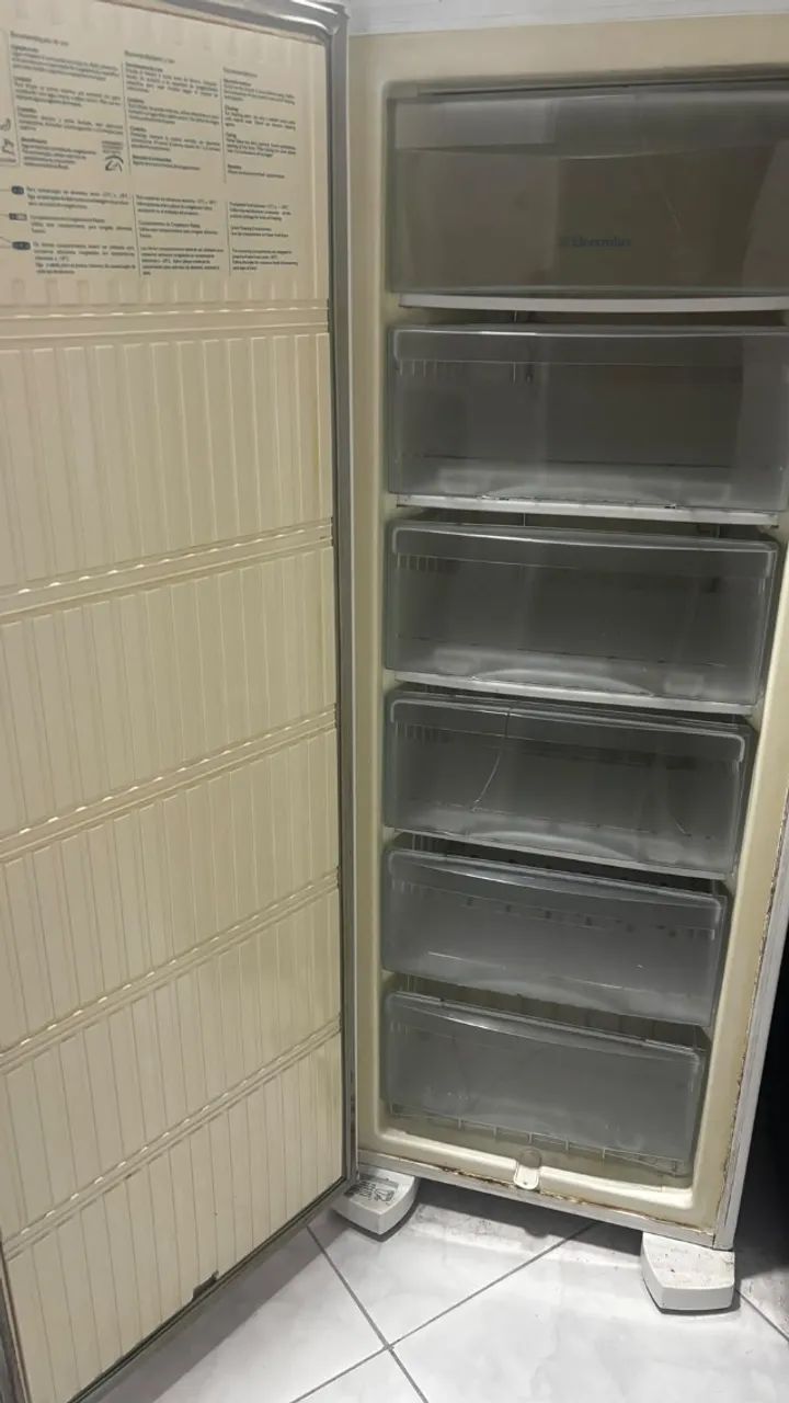 Freezer vertical