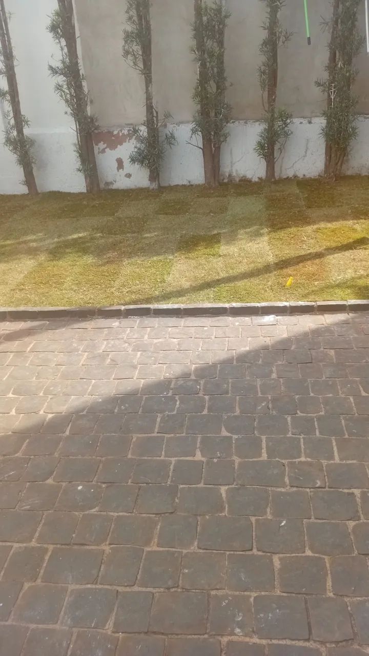 Jardineiro  - Foto 2