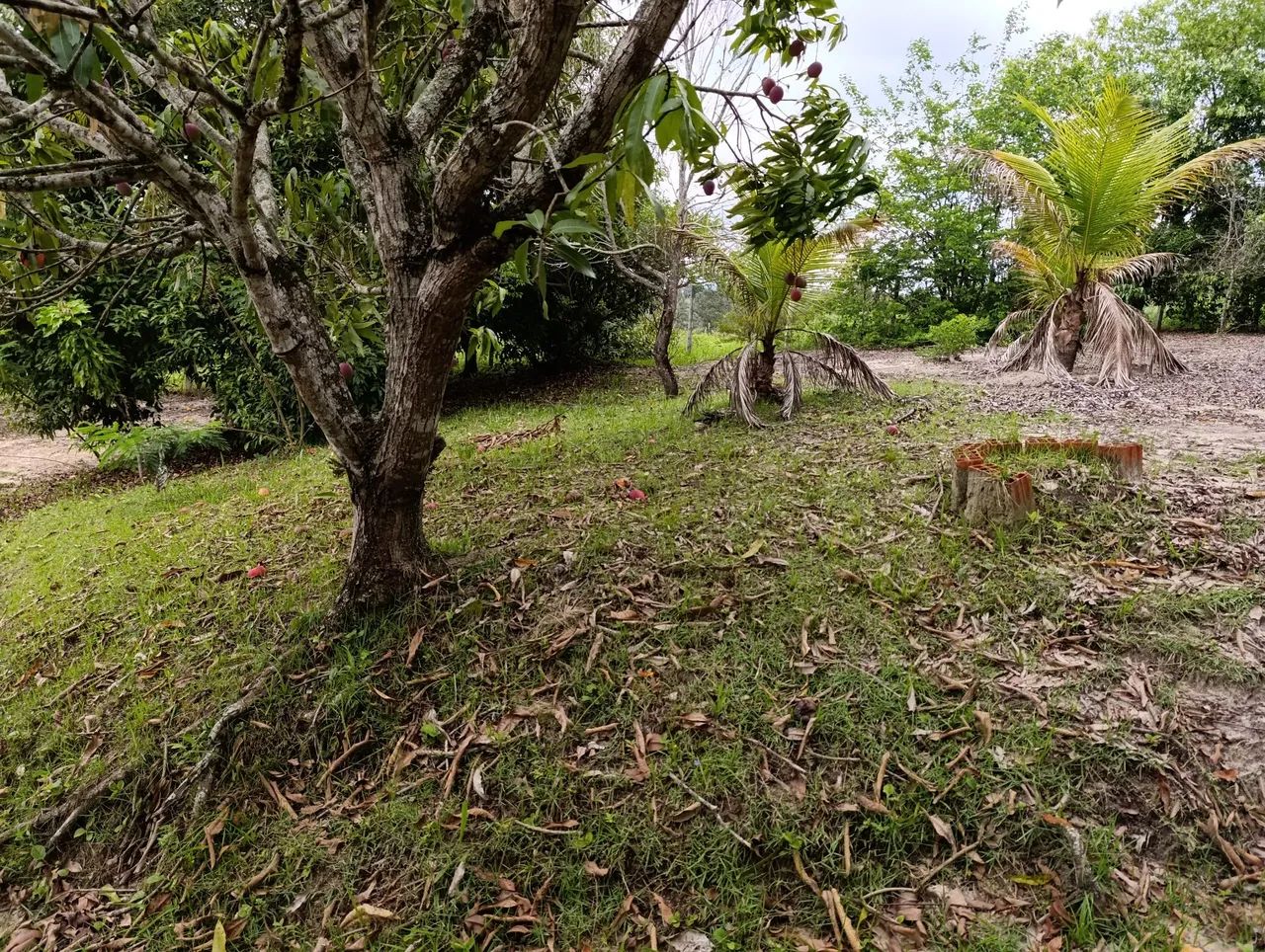 Chacara em Pirambóia  - Foto 2