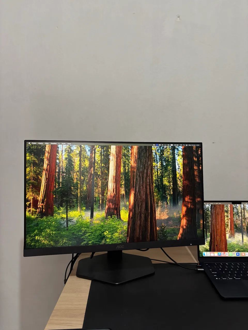 Monitor Gamer AOC 24? 