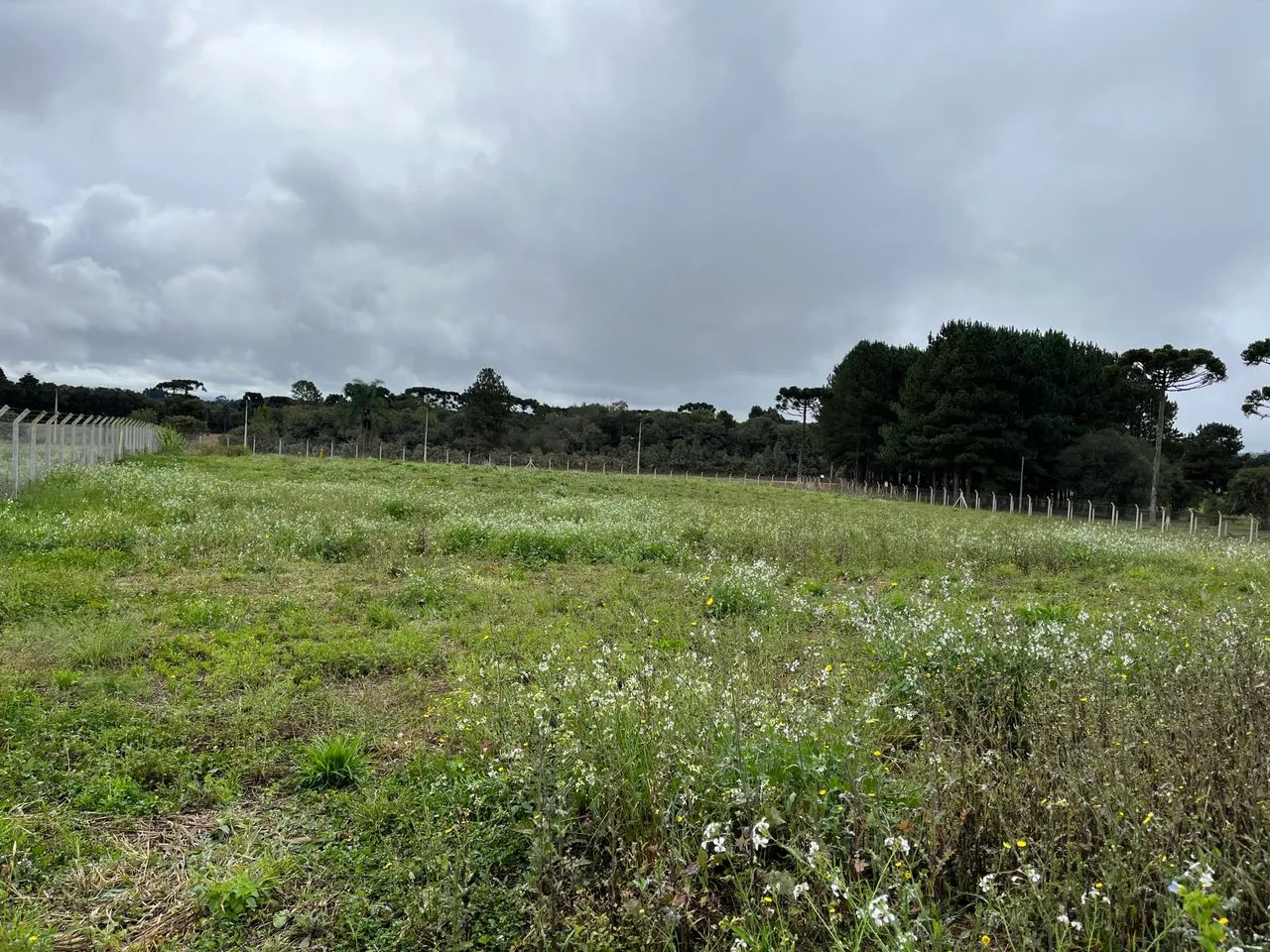 Alugo área  - Foto 2