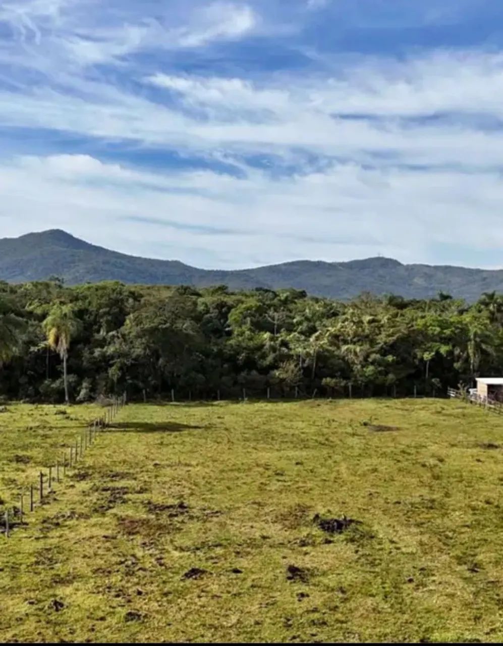 Terreno  - Foto 4