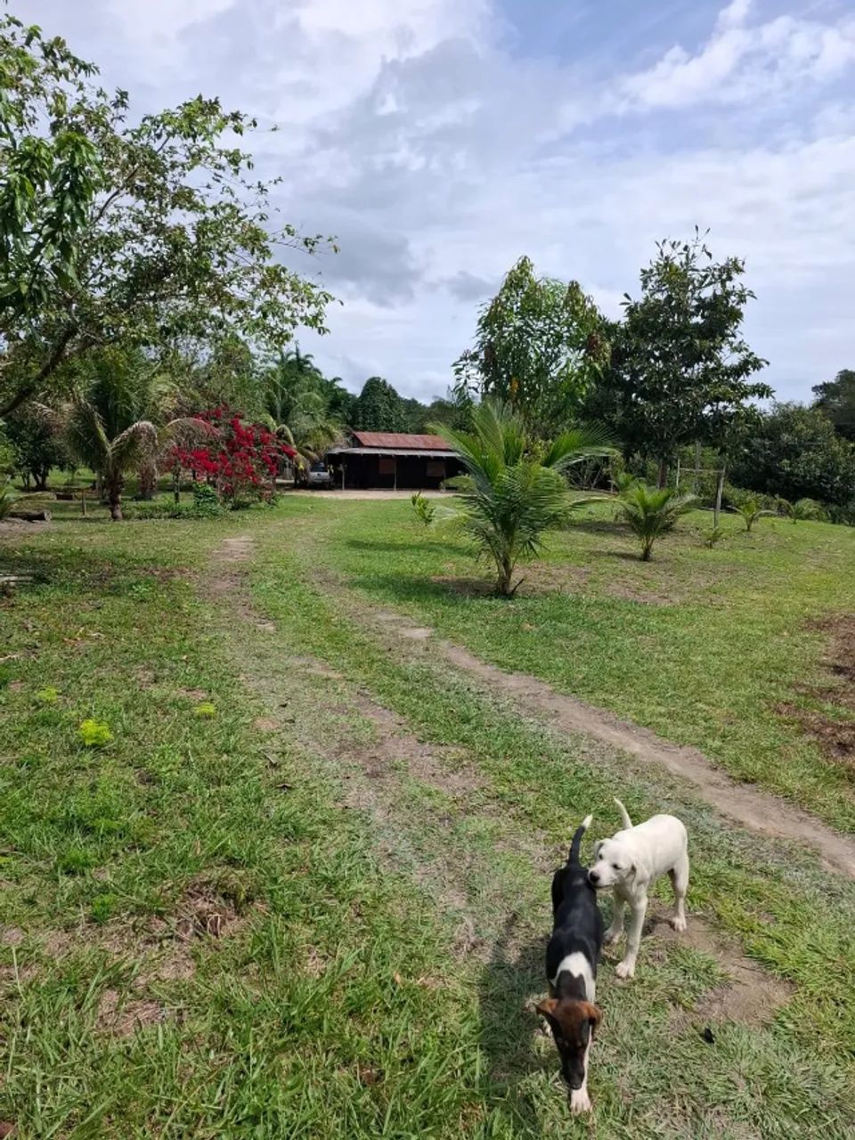 SITIO, BR174,  KM41