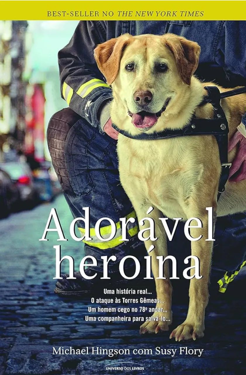 Livro: Adorável Heroína  - Foto 3