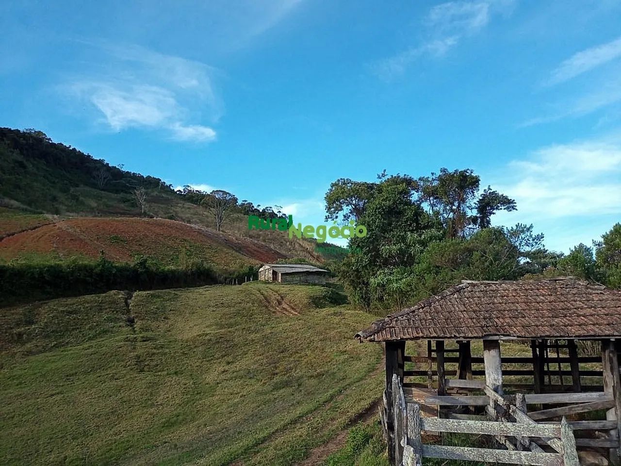 SÍTIO SEM BENFEITORIAS EM MARIA DA FÉ-MG - Foto 5