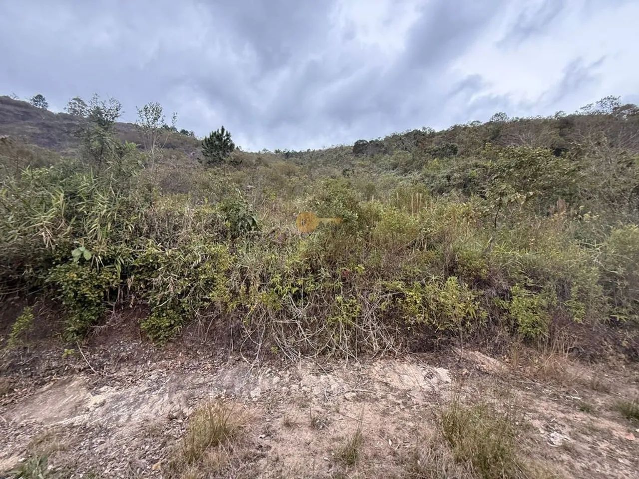 Terreno para Venda em Teresópolis, Albuquerque - Foto 4