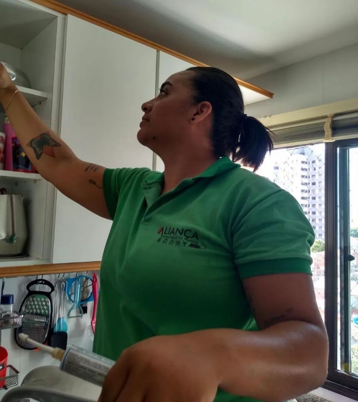 Dedetização desratização Sergipe 
