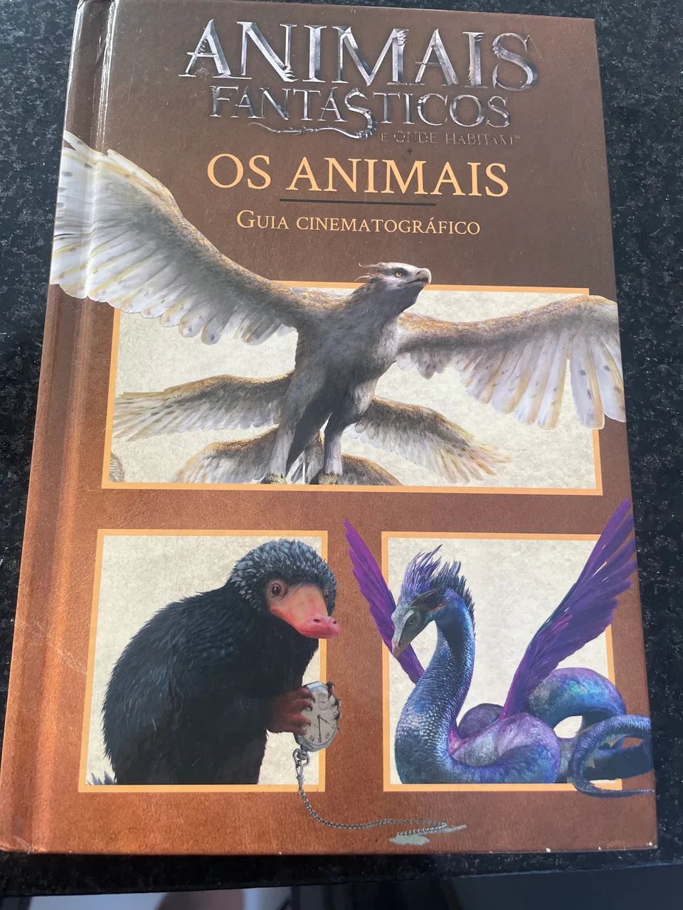 Harry Potter e Animais fantástico  - Foto 5