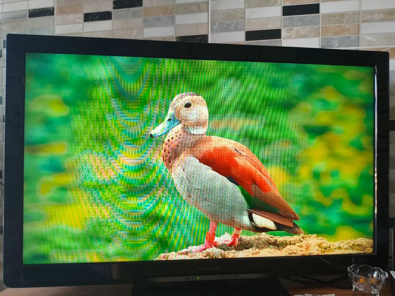 Tv panasonic 43'' polegadas 