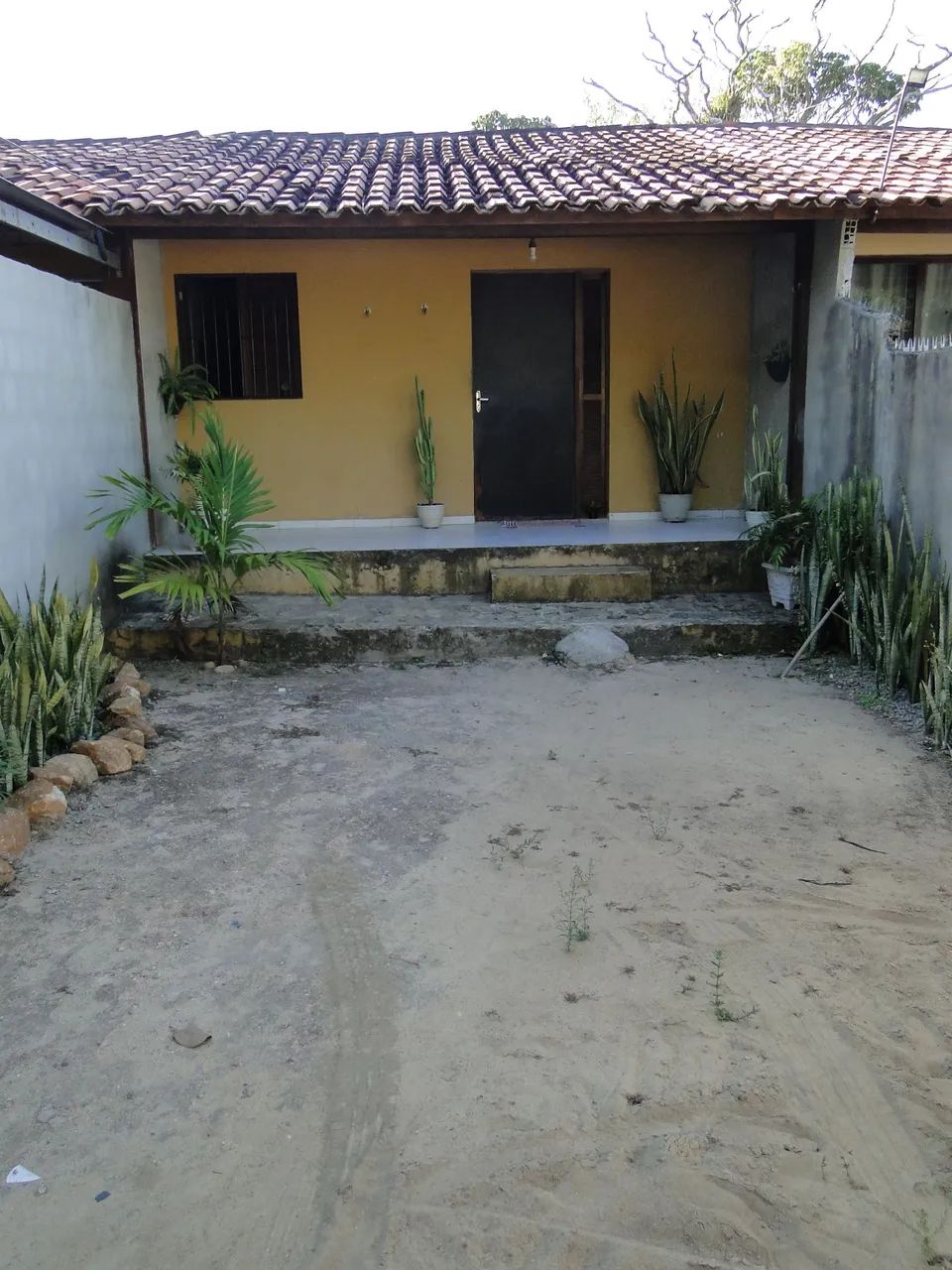 Foto - Paulista - Tabajara
