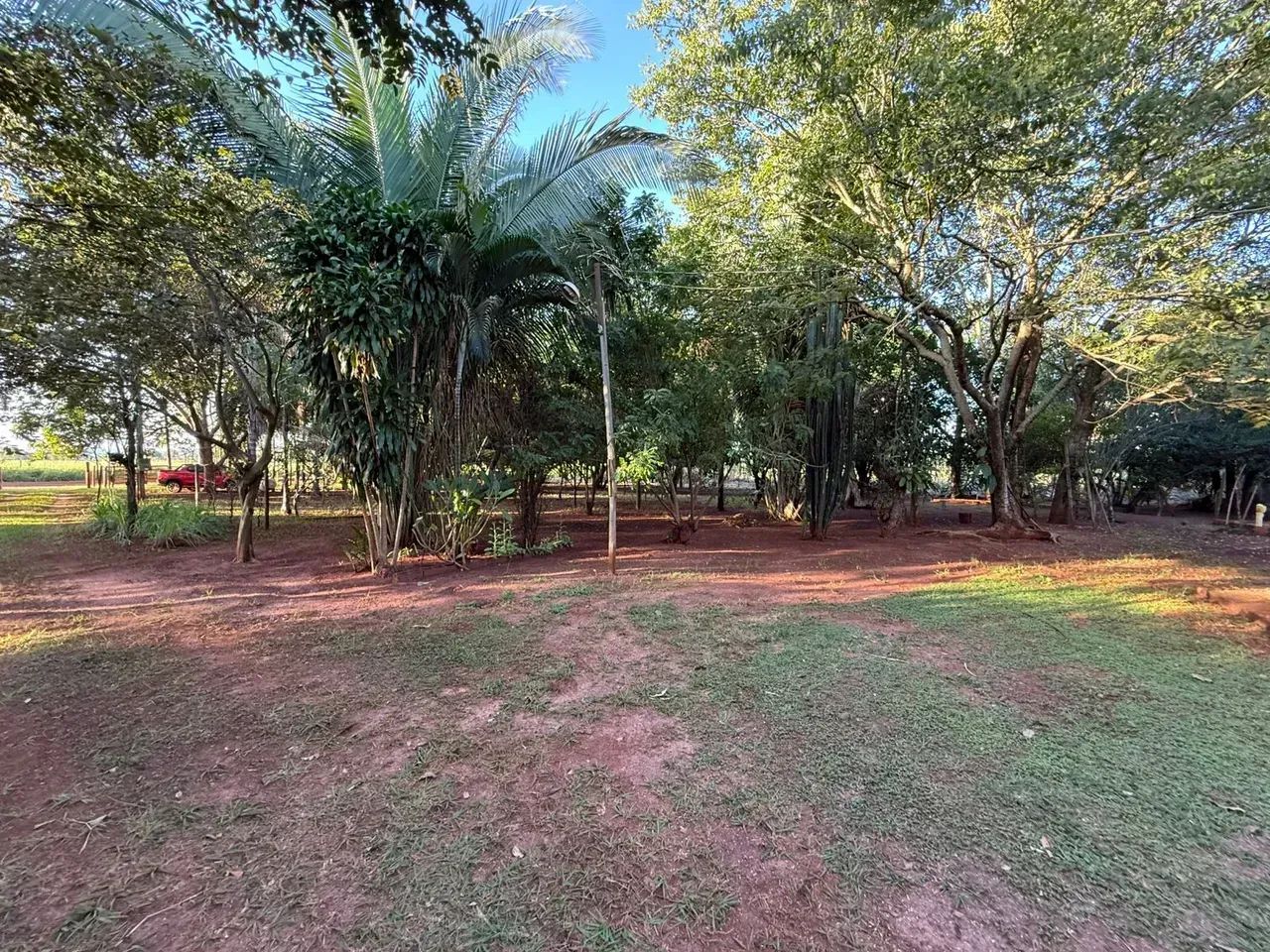 CÓD. 501  Chácara à venda com 31,9 hectares em Sidrolândia/MS - Foto 4