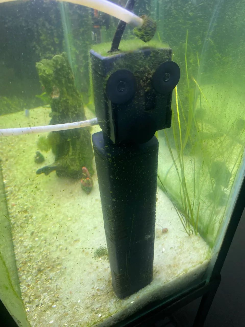 Vendo Aquário com estrutura metálica  - Foto 6