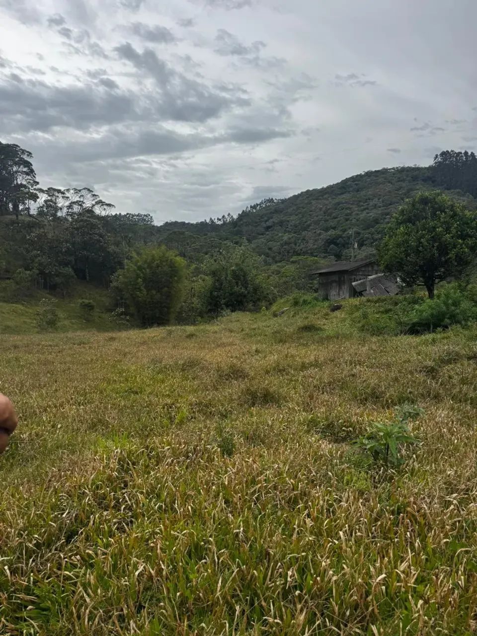 Sitio com escritura publica em Águas Mornas - SC