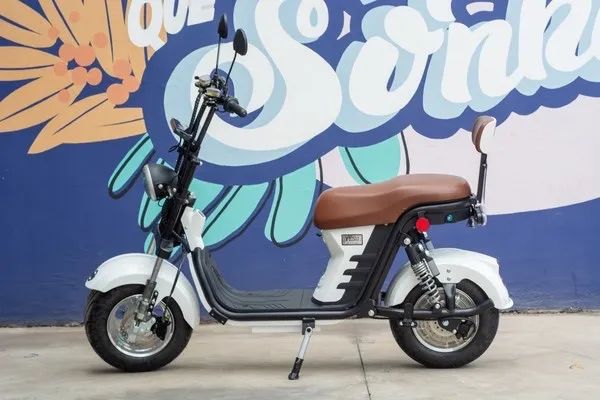 Autopropelido Yesu ZIYOU 1000W