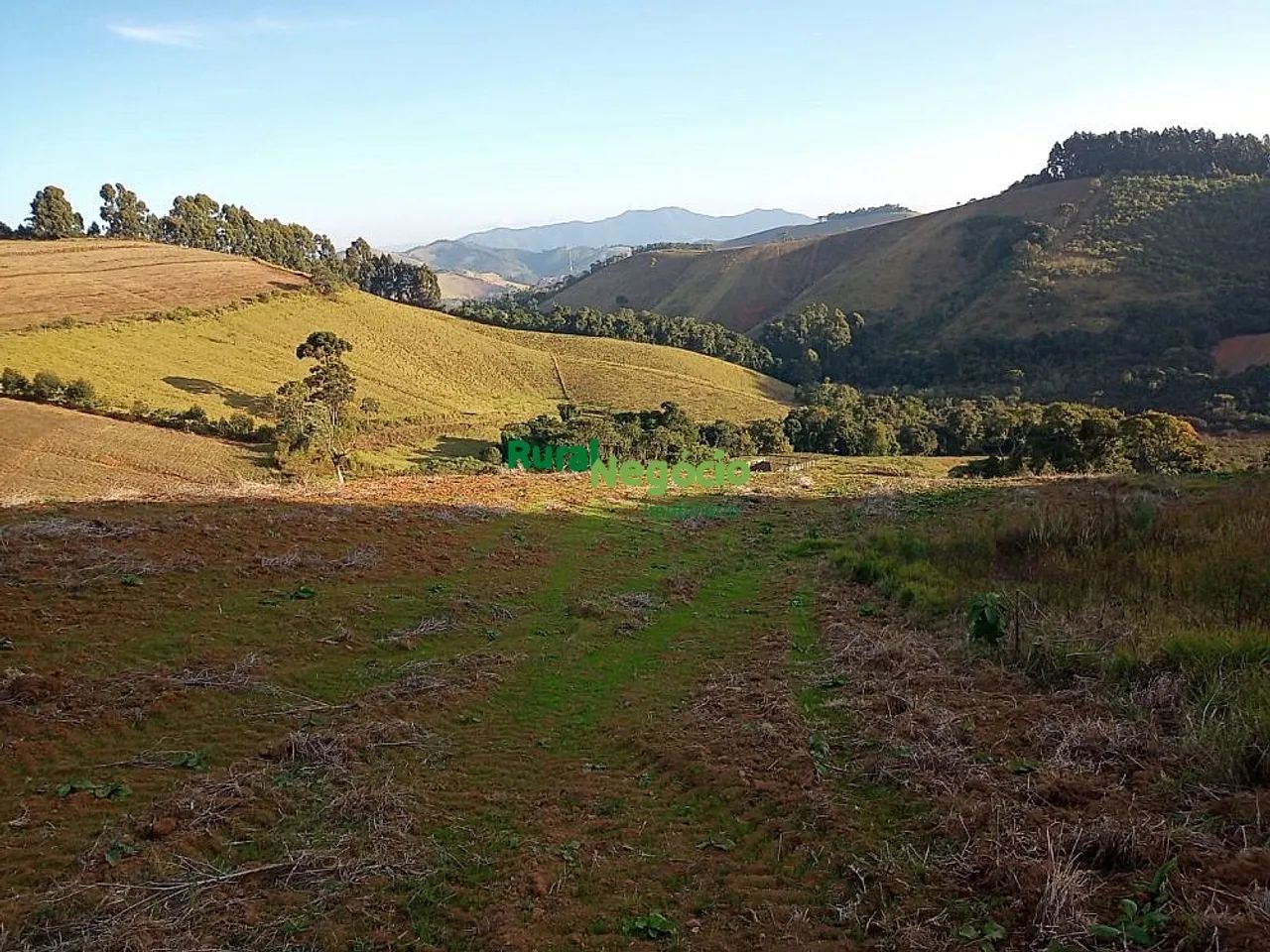 SÍTIO SEM BENFEITORIAS EM MARIA DA FÉ-MG