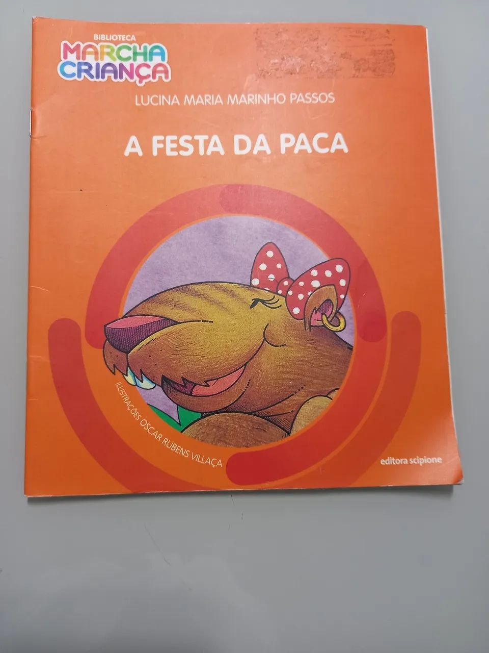 A Festa da Paca