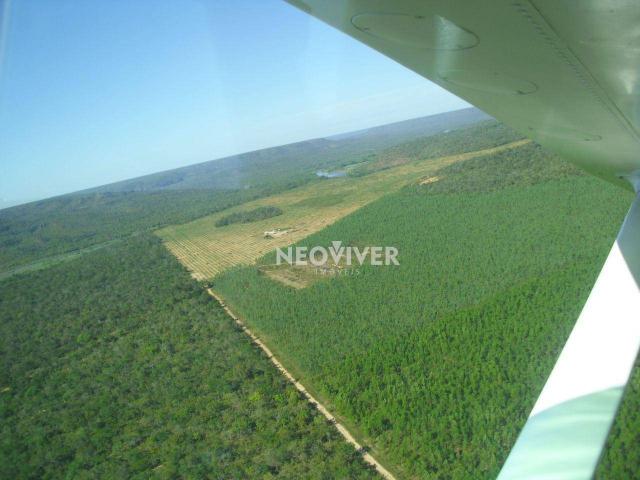 Fazenda campo belo!