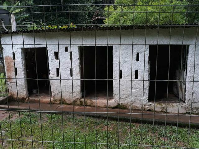 Belíssimo sítio em Guapimirim medindo 1.190m2 oportunidade!!! - Foto 15