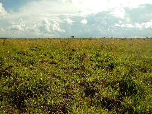Fazenda em Rosário Oeste ha 140 km de Cuiabá - Foto 14