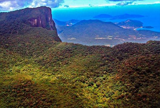 Ubatuba SP - Mata Atlântica | Área Comp. Ambiental, Parque, APP, Santuário, 715 alqueires - Foto 6