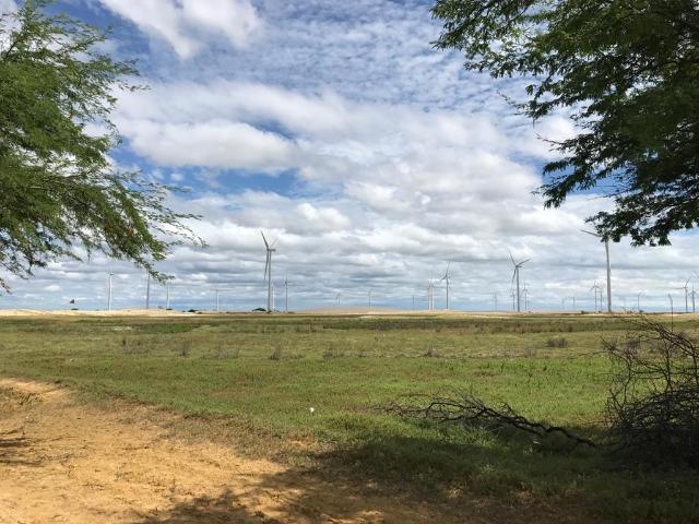 Fazenda em Caiçara do Norte - 552 Hectares - Foto 20