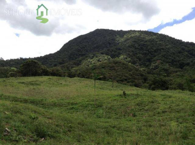 Sítio à venda em Alto cedros, Rio dos cedros cod:5975 - Foto 17