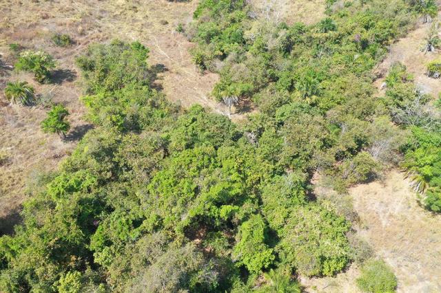 Fazenda no município de faina-GO! 24 Alqueires! - Foto 12