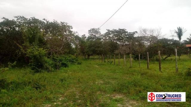 Área industrial com 3.000 m² - Foto 3