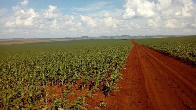 Fazenda à venda, 9801000 m² por R$ 45.000.000 - Jardim Lindóia - Goioere/PR - Foto 3