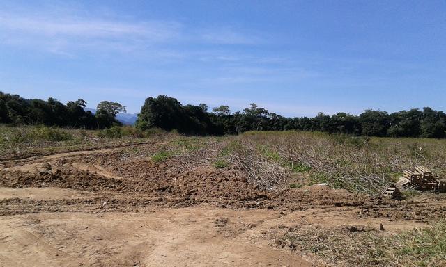 Vendo fazenda com 32 alqueres - Foto 4