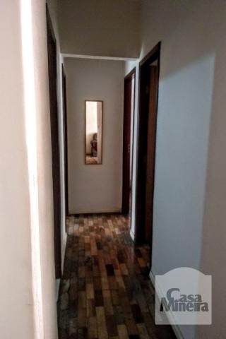 Apartamento à venda com 3 dormitórios em Prado, Belo horizonte cod:253476 - Foto 9