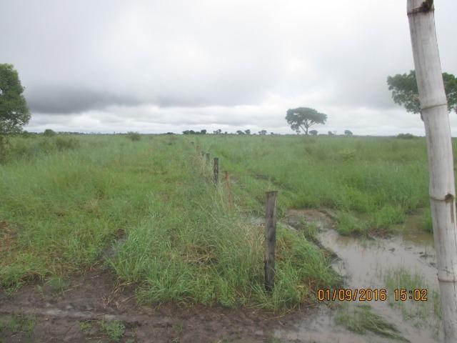 Fazenda na região do abobral,pra venda e arrendamento.2,800 ha - Foto 10