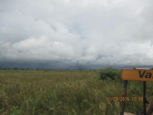 Fazenda na região do abobral,pra venda e arrendamento.2,800 ha - Foto 8
