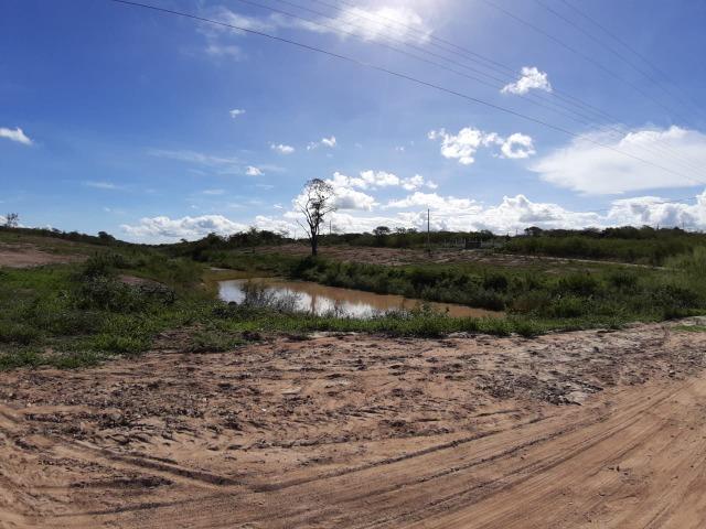 Gravatá - 1.000 m² - Na Beira da lagoa - É Um Sonho! - Foto 2