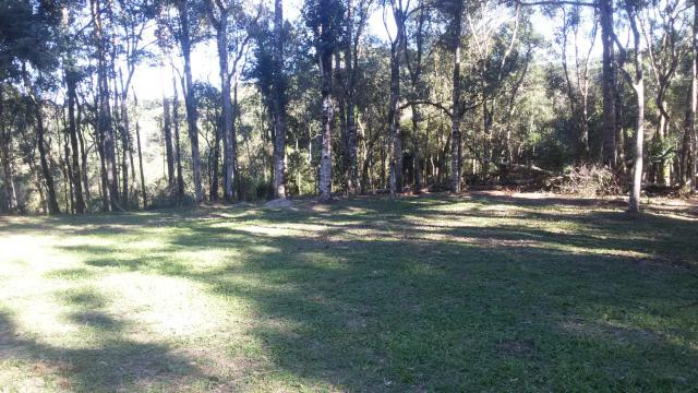 Vende se Chácara (16km do Centro de Contenda) - Foto 3