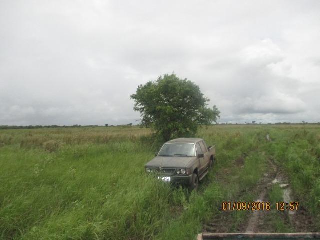 Fazenda na região do abobral,pra venda e arrendamento.2,800 ha - Foto 13