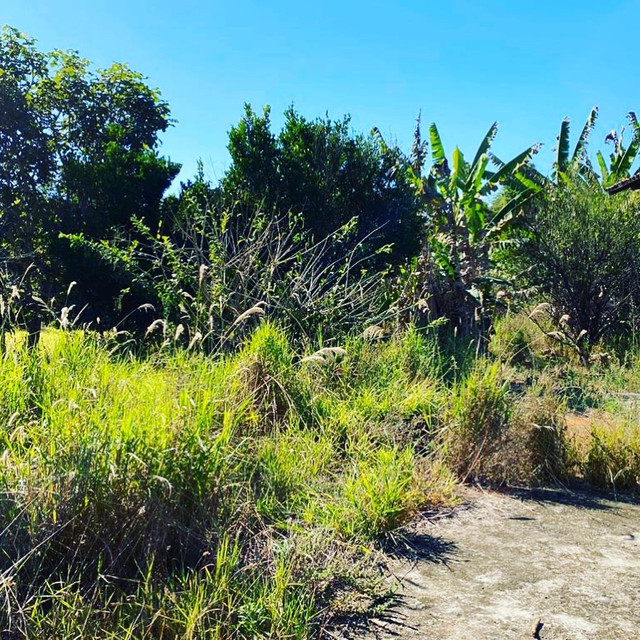 Chácara com casa em piracanjuba - Foto 10
